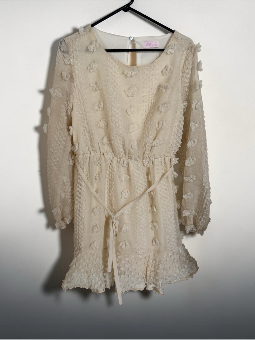 Pink Lily Women’s Textured Swiss Dot/Floral Appliqué Mini Dress - Ivory (Med)